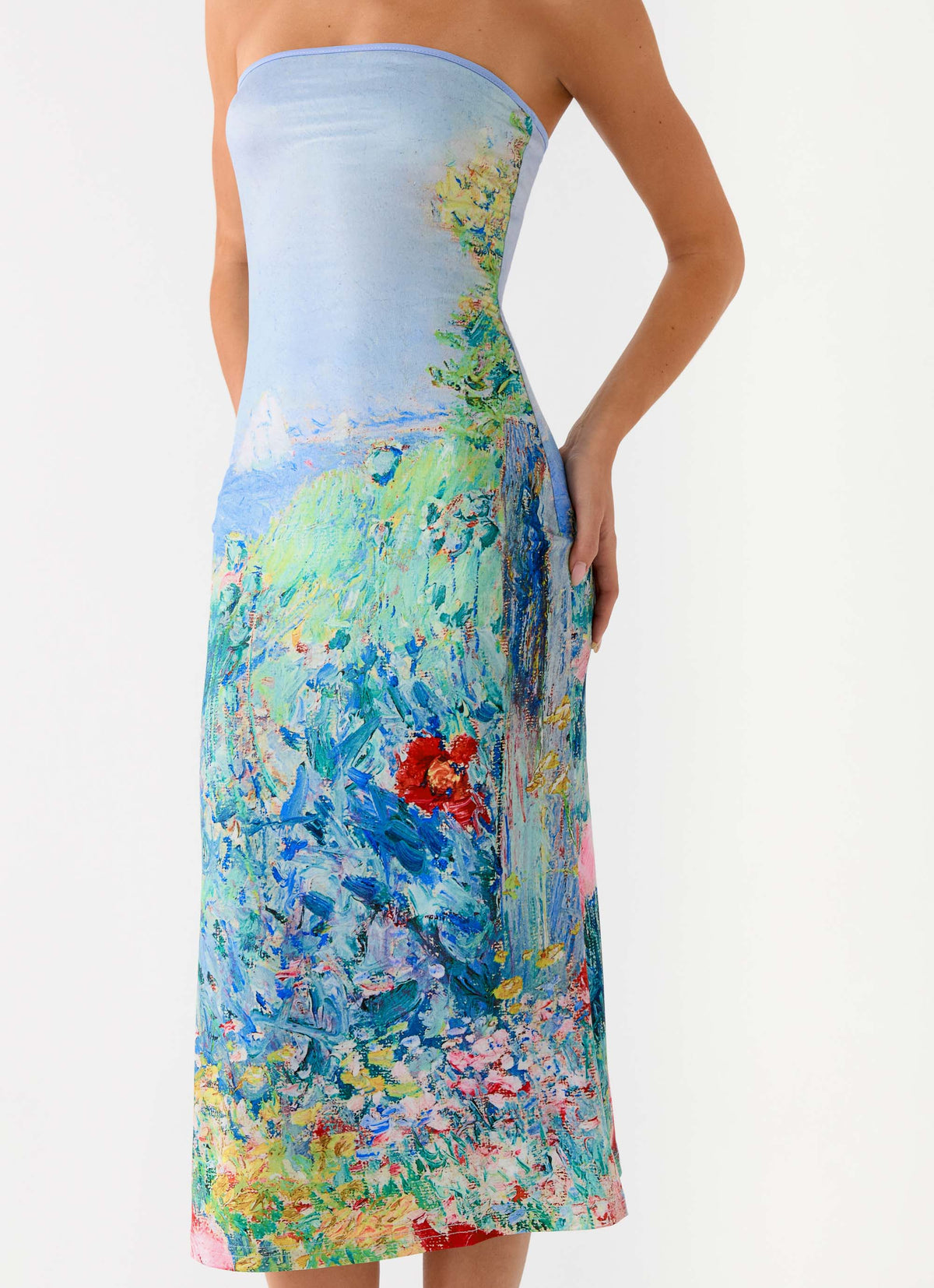 Niko Strapless Midi Dress - Spring Garden